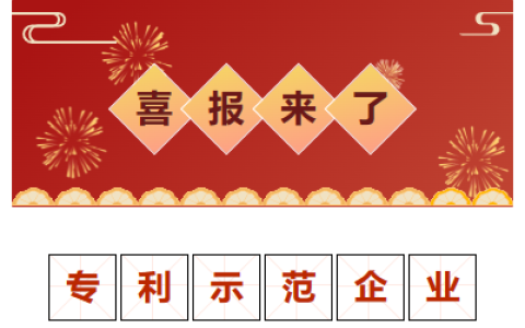 喜報！金華市專利示范企業(yè)！